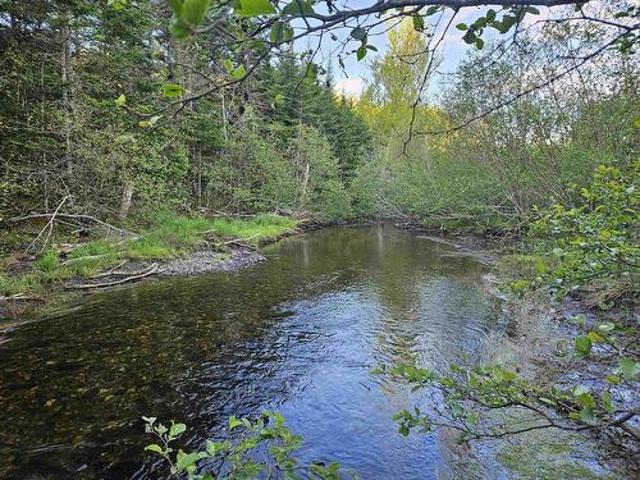 Land for sale in Dean, Nova Scotia