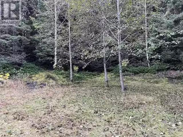 House for sale in Tlell, British Columbia