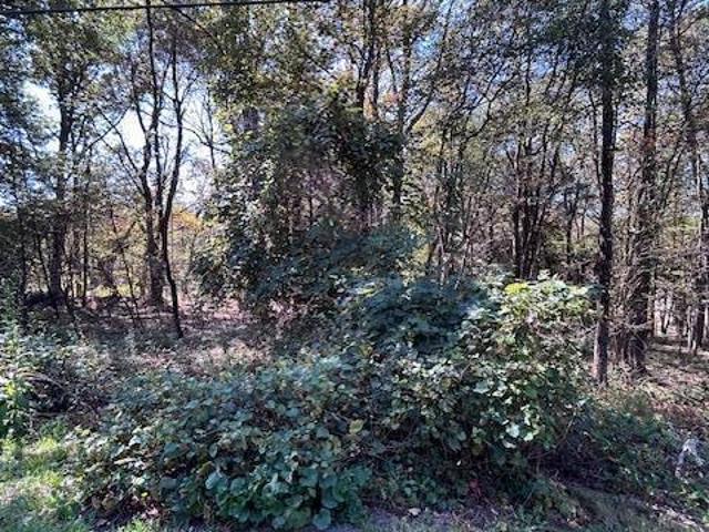 Land for sale in Carbon, Pennsylvania