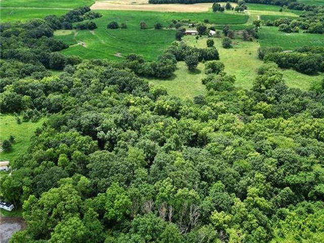 Land for sale in Houstonia, Saline County