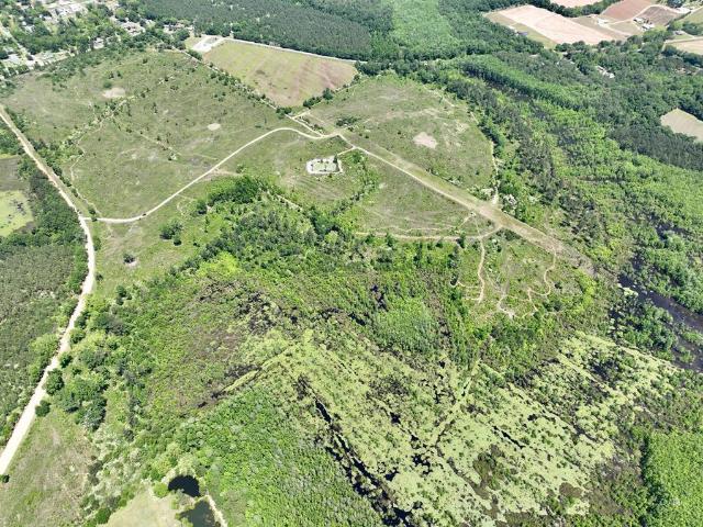Land for sale in Geneva, Alabama