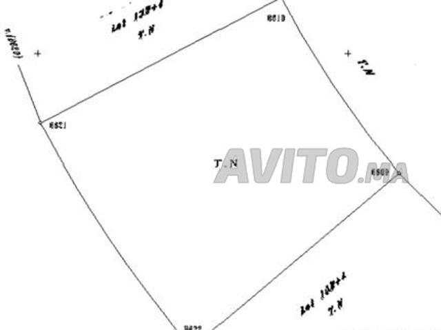 Propriété vente à Gharb-Chrarda-Beni Hssen
