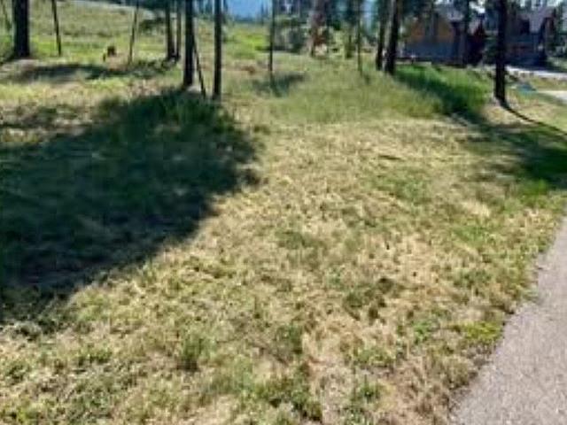 Land for sale in British Columbia