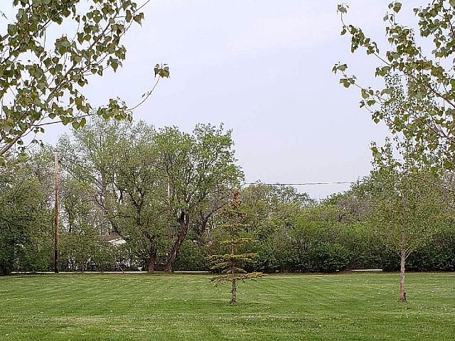 Land for sale in Roland, Manitoba
