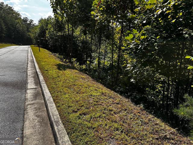 Land for sale in Clayton, Georgia