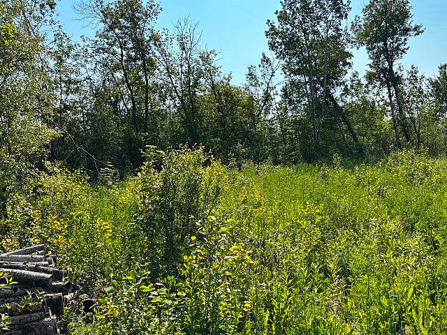 Land for sale in Manitoba