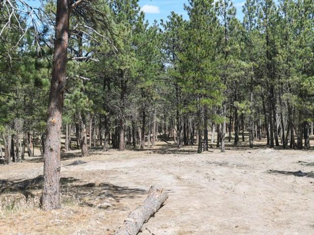 Land for sale in Belle Fourche, Butte County