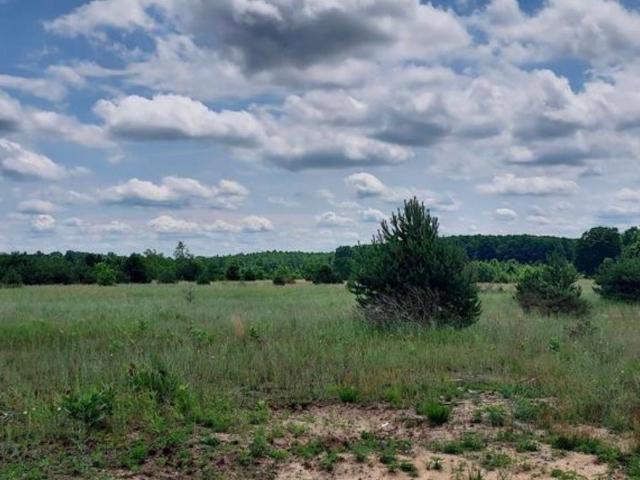 Land for sale in Paradise, Michigan