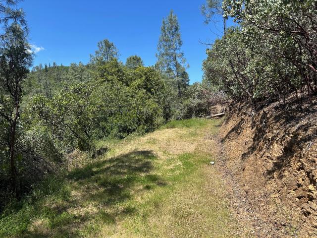Land for sale in Shasta, California