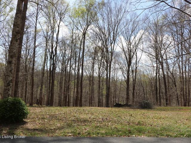 Land for sale in Jamestown, Kentucky