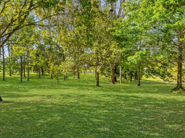 Property for sale in Kawau Island