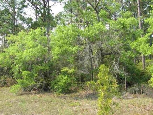 Land for sale in Panacea