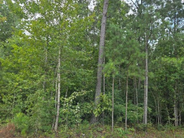 Land for sale in Ninety Six, South Carolina