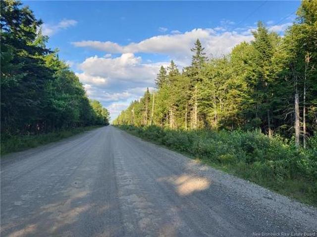 Land for sale in Penniac, New Brunswick