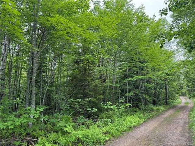 Land for sale in Westmorland, New Brunswick
