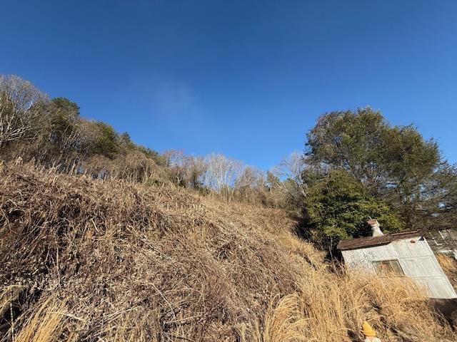 Land for sale in Tennessee