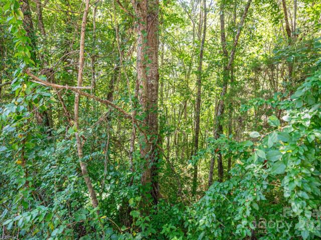 Land for sale in Rutherford, North Carolina