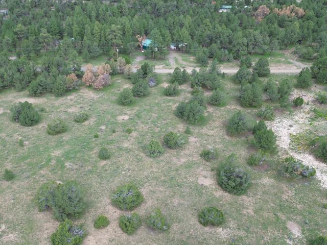 Land for sale in Catron, New Mexico