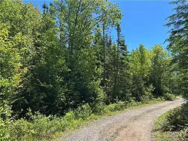 House for sale in Dipper Harbour, New Brunswick