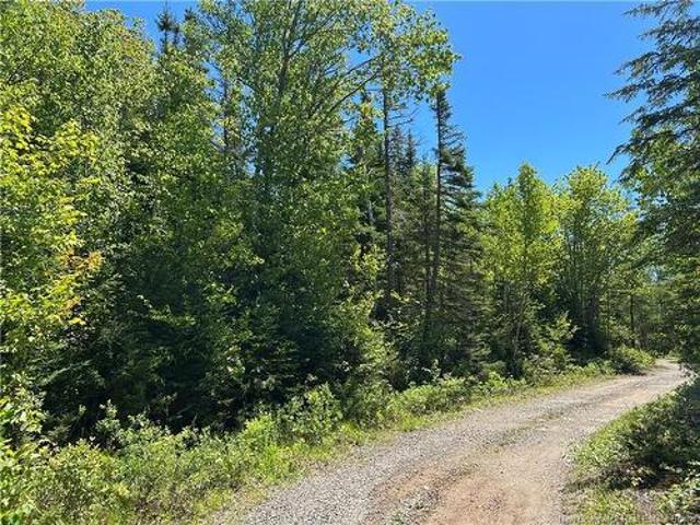 Land for sale in Dipper Harbour, New Brunswick