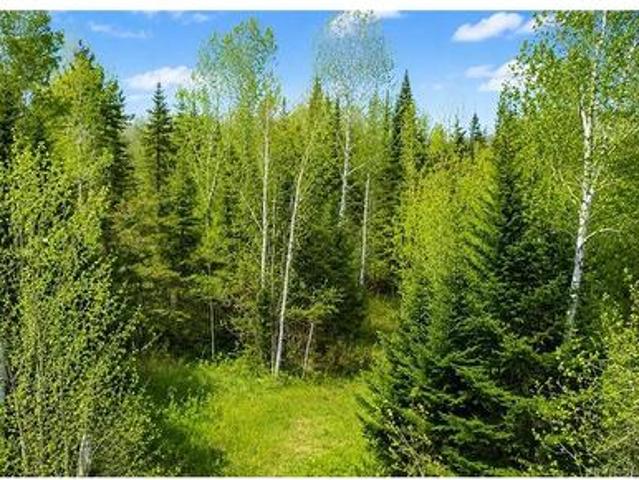Land for sale in Northampton Parish, Town of Woodstock