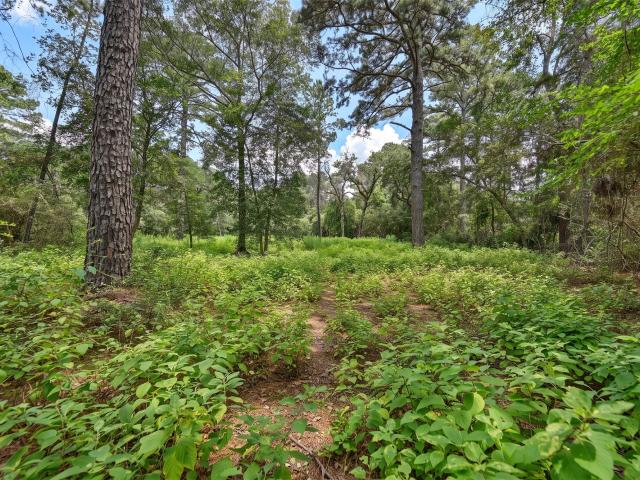 Land for sale in Navasota, Grimes County