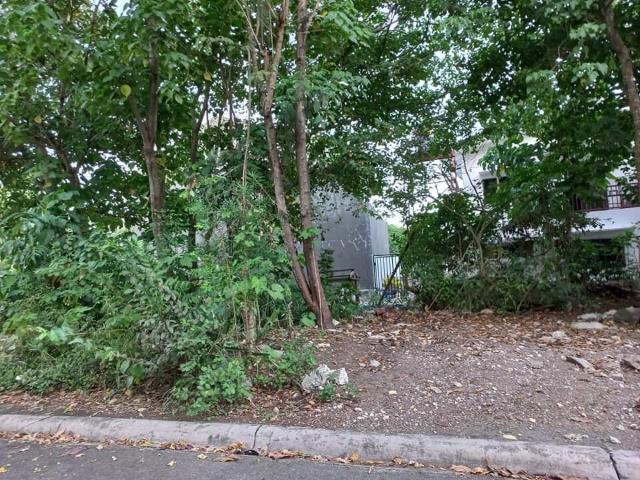 Lot Only For Sale Primavera Hills Yati Liloan Lot Only For Sale Primavera Hills Yati Liloan