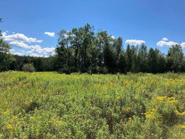 Land for sale in Richford, Vermont