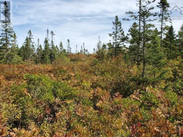 Land for sale in Rockland, Nova Scotia