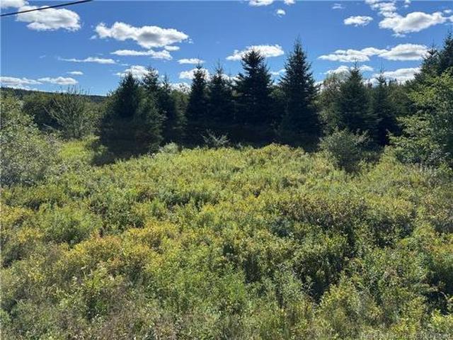 Land for sale in New Brunswick