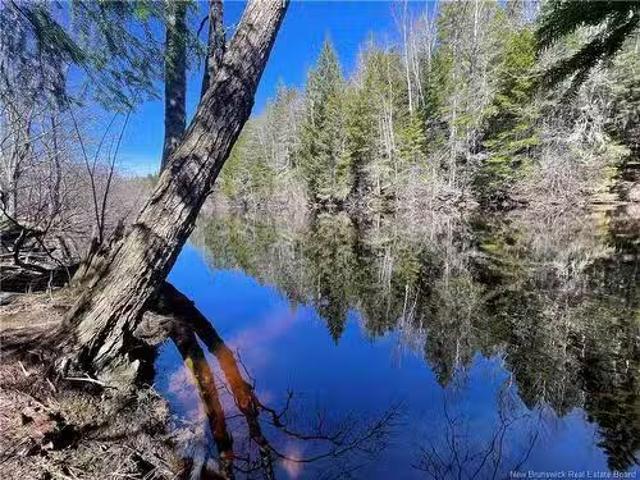 House for sale in Collette, New Brunswick