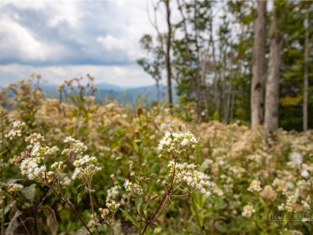 Land for sale in Avery, North Carolina