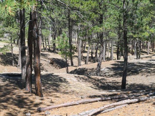Land for sale in Belle Fourche, South Dakota