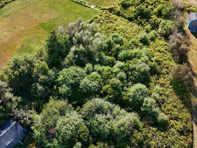 Land for sale in Cape John, Nova Scotia