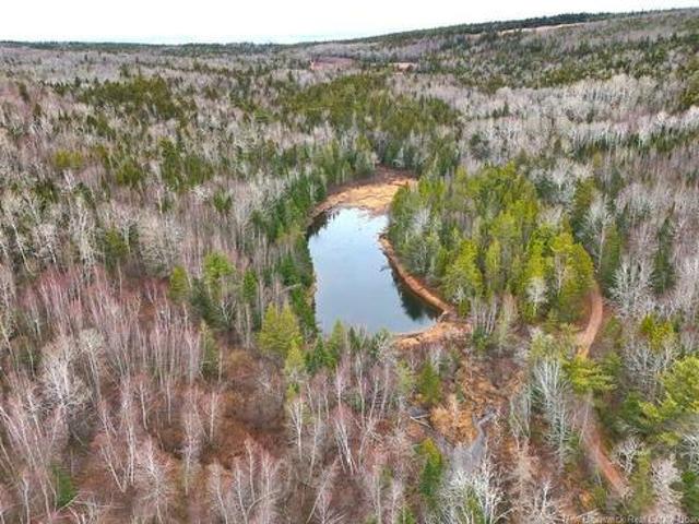 Land for sale in Albert, New Brunswick