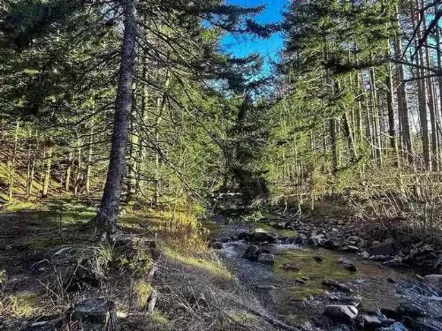 House for sale in Mount Hanley, Nova Scotia