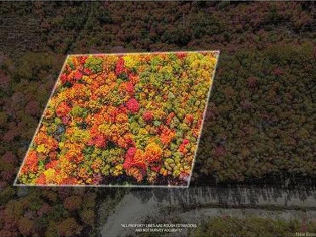 Land for sale in Central Hainesville, Bright Parish
