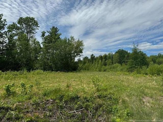 Land for sale in Waterborough, New Brunswick