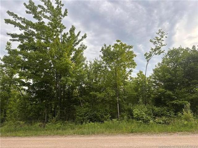 Land for sale in Burtts Corner, Douglas Parish