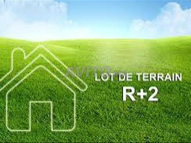 Propriété vente à Guercif