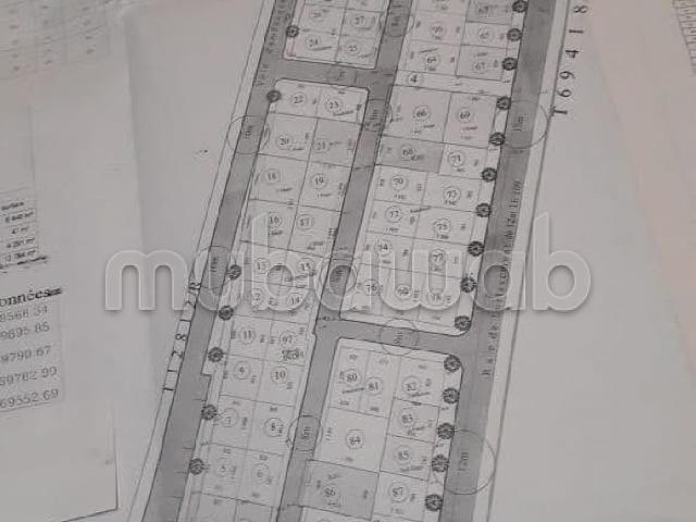 Terrain vente à Témara