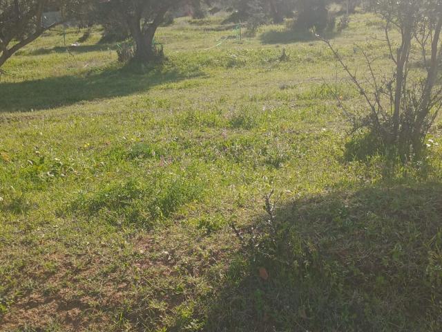 Terrain vente à La Mannouba, Borj El Amri