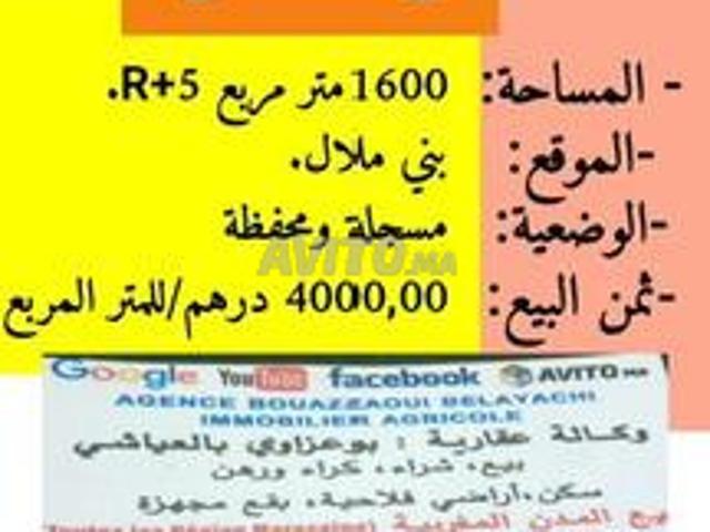Propriété vente à Mellal