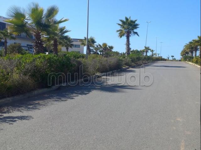 Terrain vente à Témara, Rabat-Salé-Zemmour-Zaër