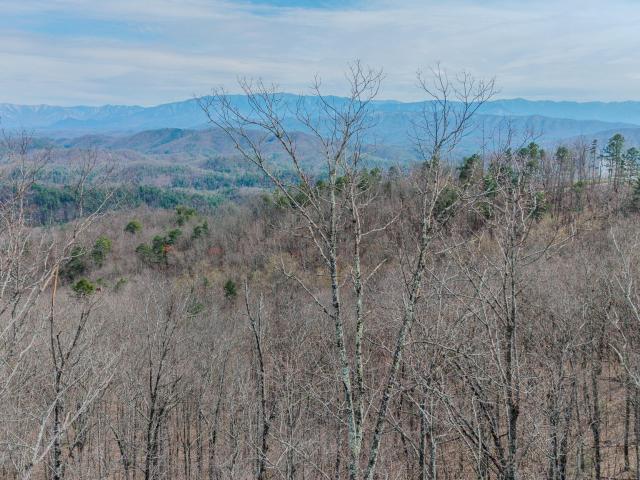 Land for sale in Tennessee