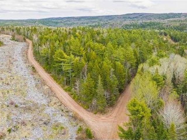 Land for sale in New Brunswick