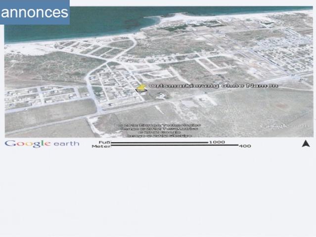 Terrain location
