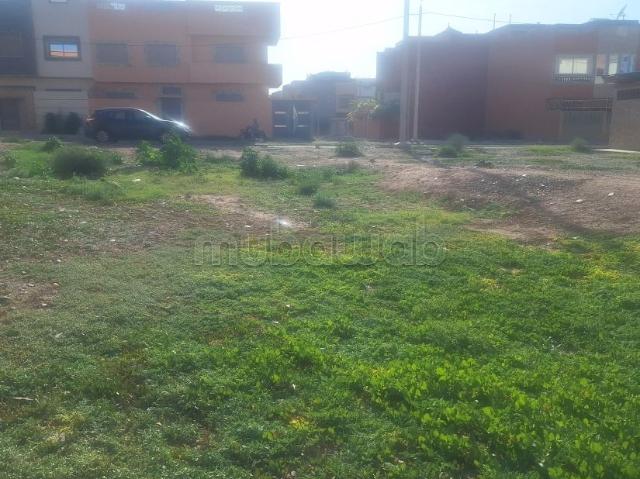 Terrain vente à Chaib, Oued ed Dahab-Lagouira