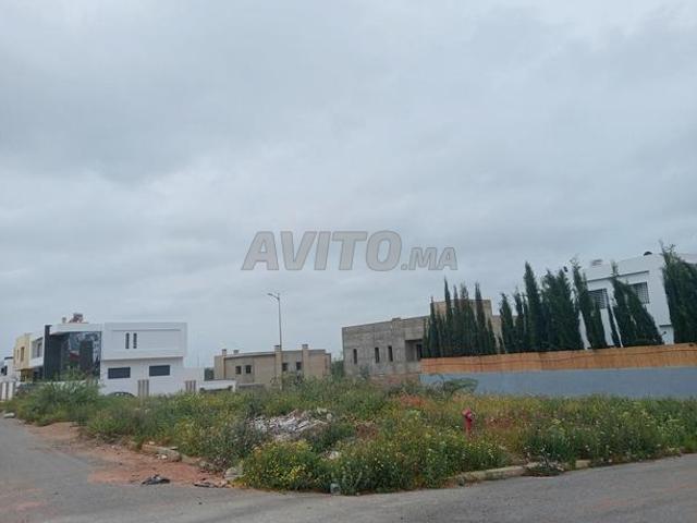 Propriété vente à Tamesna