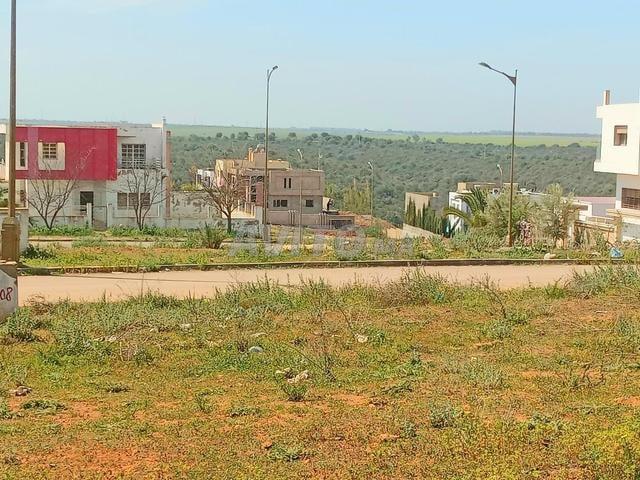 Propriété vente à Tamesna